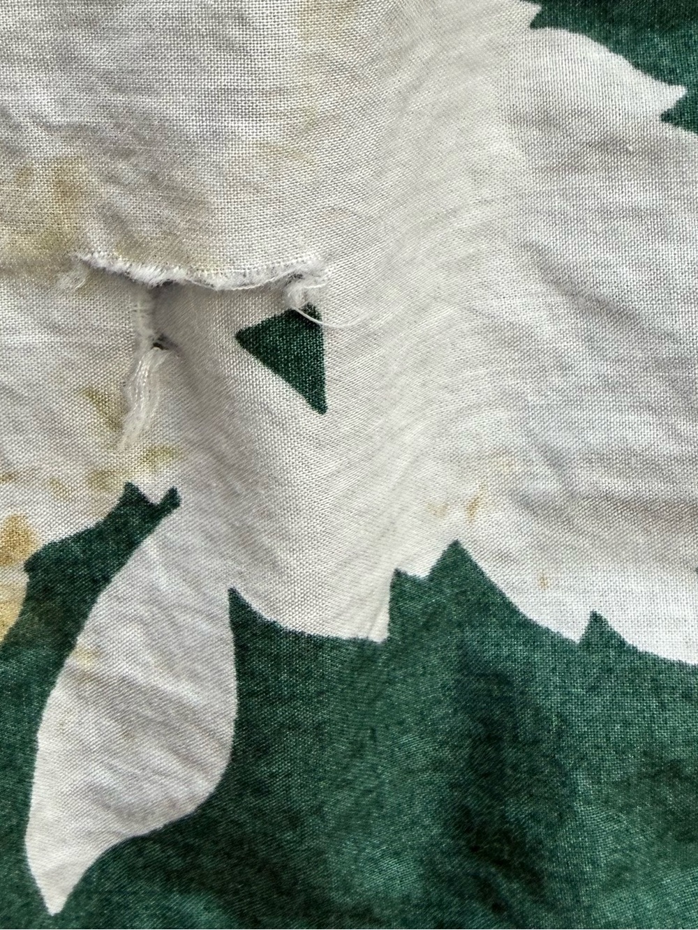 Cynthia Rowley Cotton Dress Sz 12 Green and White Floral - Picture 4 of 5